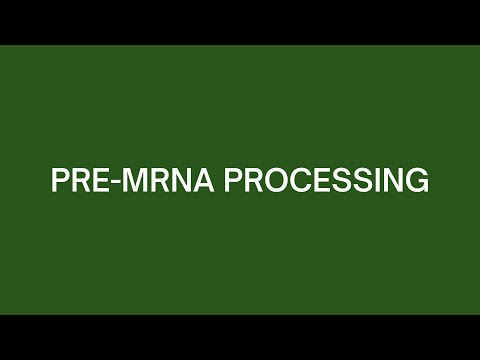 Pre-mRNA Processing