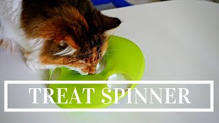 Beschäftige deine Katze mit dem Catit Fummelspielzeug
