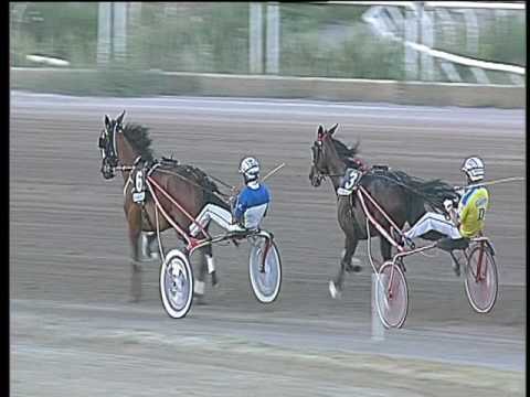 Trotto 01/07/2017 - 4ª corsa