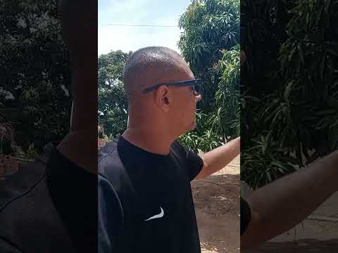 Chegamos no Sitio do meu irmão em Craibas Al