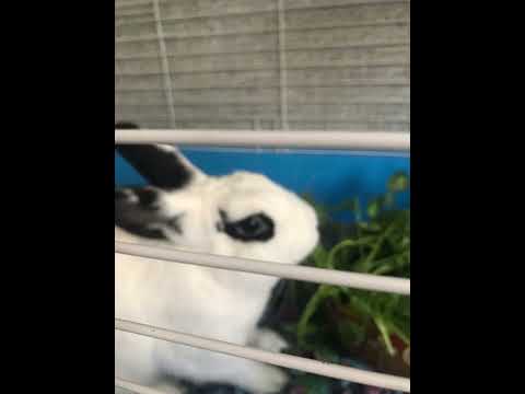 your favorite martian￼￼ - orphan tears (sped up version!)