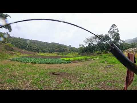 Aldeia Guarani Mbyá - Canelinha -Santa Catarina.03