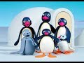 Pingu English New Episodes 29