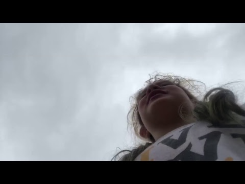 Walking my friends dogs