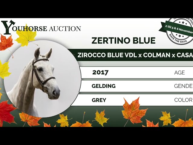 Zertino Blue showvideo