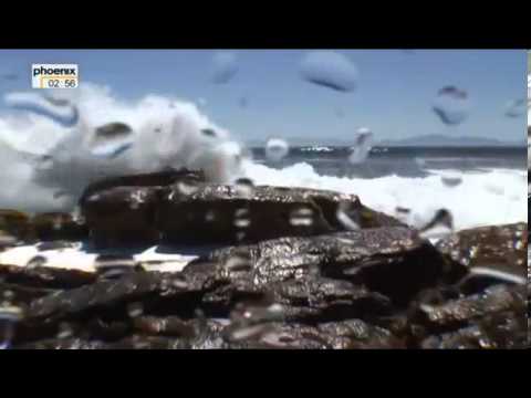 Südafrika In der Haut eines Weißen Hais Doku über Südafrika Teil 1