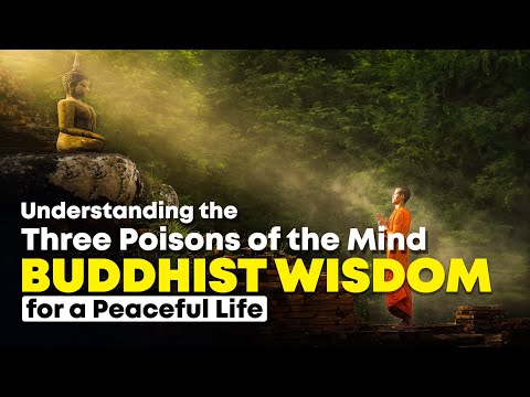 How to Overcome the Three Poisons of the Mind | #mindbloomwisdom