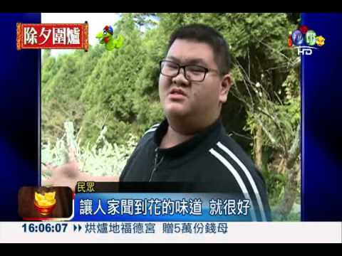 雪白馬拉邦山! 滿山李花綻放