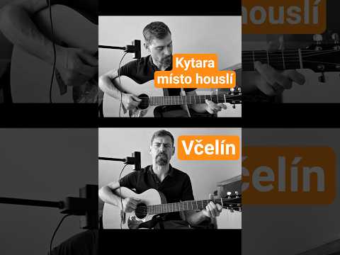Včelín (Čechomor) pro dvě kytary #guitar #instrumental #cover