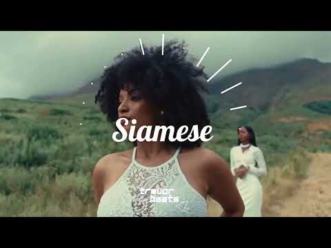 [FREE] BNXN x Fireboy x Jae5 Type Afroswing  Afrobeat Type beat 2024 | "Siamese"