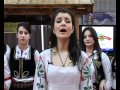Даница Крстић - "Расти расти мој зелени боре" 