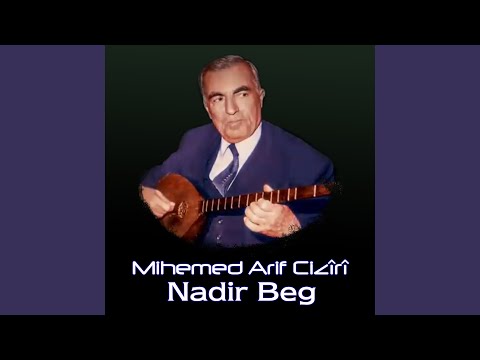 Nadir Beg