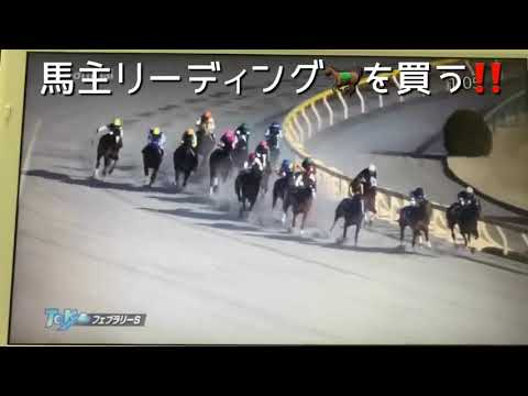 フェブラリーS  モズアスコット　　#中央競馬