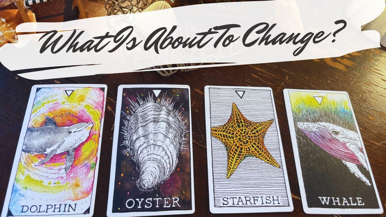 the next big change in your life 🧜‍♀️ pick a card reading