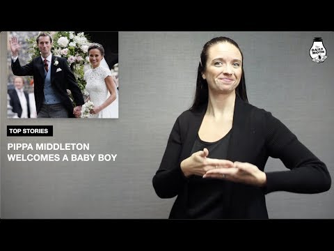 The Daily Moth 10-17-2018