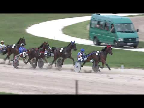 2023.09.03. 3. Futam - BET.LOVI.HU - ELEGANT YANKEE DÍJ Autóstart!