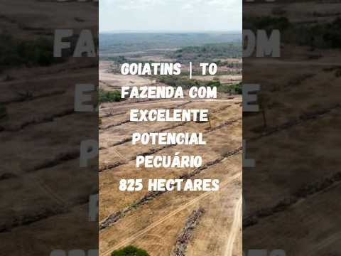GOIATINS | TO — FAZENDA COM EXCELENTE POTENCIAL PECUÁRIO #maurolopesfazendas  #fazendaavenda  #agro