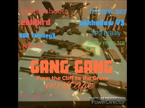 gang gang - freestyle ft ebkbird ebktopshoota tp3youngjuice