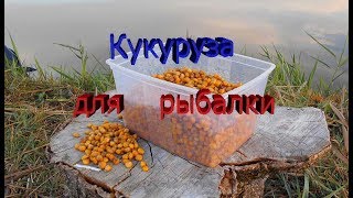 Как правильно сварить кукурузу на рыбалку