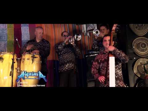 El Corneta • Alquimia la Sonora del XXI - youtube music awards