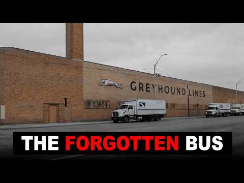 Greyhound Venice Fl