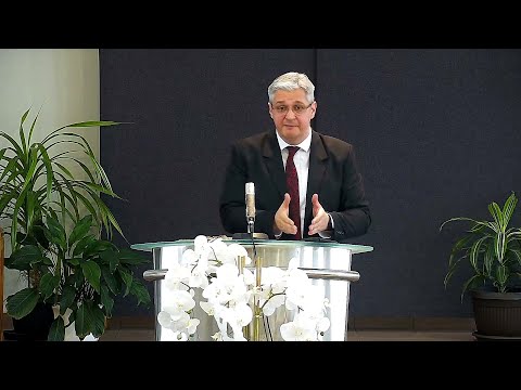 Zoran Marcikić – Videlo svetu