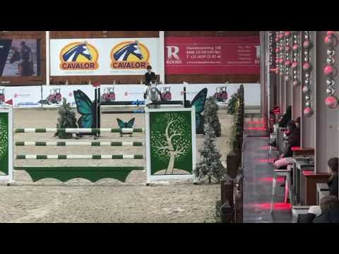 Daddy Cool Ter Linden Z