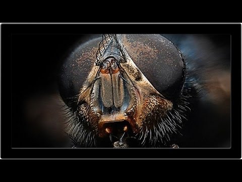 How to Set Up and Use a Wacom Tablet