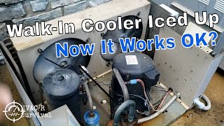 Walk-In Cooler Iced Up — Now It Works OK