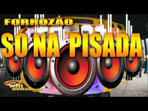 FORROZÃO SO NA PISADA. VOL 5. ( CD COMPLETO ). SO AS MELHORES MUSICAS DE SUCESSO. IMP