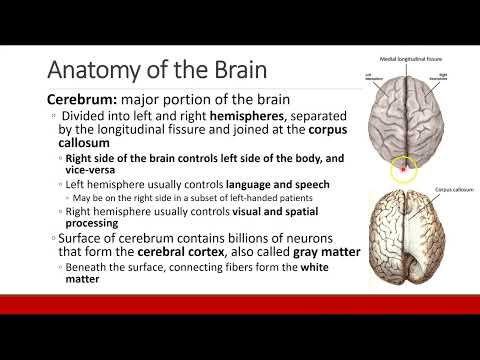 Applied Physiology for Anesthesia - 08 - NEURO - Part 1