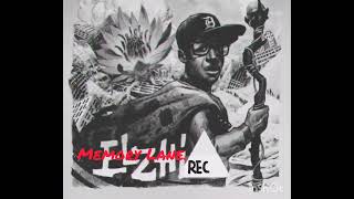 Elzhi - Memory Lane