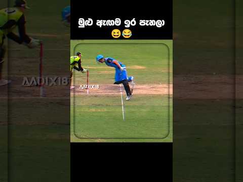 Long jump line 😆😂 #australiacricket #bbl #adelaidestrikers #sydneythunders #funnyshorts