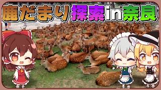 【ゆっくり実況】鹿だまりを探してみた！ in 奈良【旅動画】
