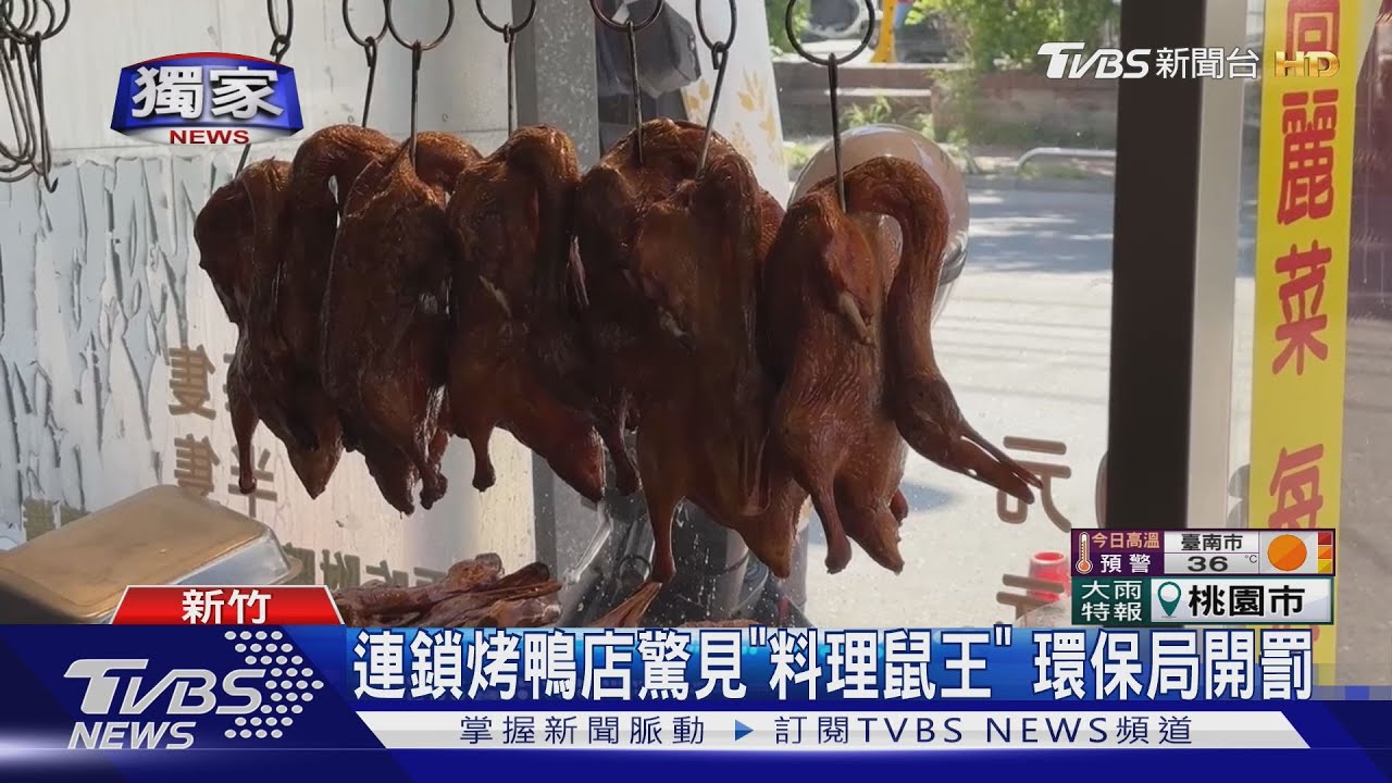 獨/名店爆衛生疑慮!連鎖烤鴨店驚見「料理鼠王」逃竄 環保局開罰
