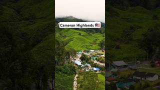 Travel with us to CAMERON HIGHLANDS, Malaysia 🇲🇾🫖🍓 #cameronhighlands #malaysia