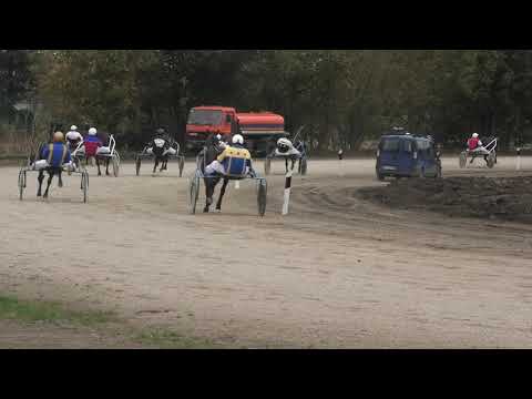 Trka "Trka grada Pančevo" 31.10.2020 Picolo Party - Vladimir Pribić