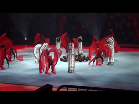 World Gymnaestrada 2019 FIG - Gala Teil-1