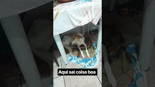 21 de setembro de 2026