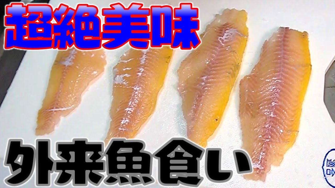 美味いと噂の外来魚を食してみた！これなら外来魚を駆除できるじゃん！