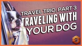 What Every Dog Owner Needs to Know When Traveling with Their Dog - Holiday Travel (3 of 3)