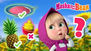 Masha and the Bear 2026 🤔 Guess the Food❓Best episodes cartoon collection 🎬