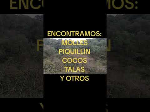 CASCADA LOS GUINDOS- COLANCHANGA(RIO CEBALLOS)/CORDOBA #Viajes #turismo #viral 