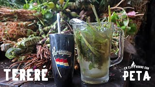 Tereré – Bebida Típica del Paraguay