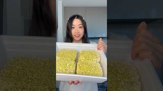 Download lagu Trying GIANT 8 person Korean ramen! 😭🔥 mp3