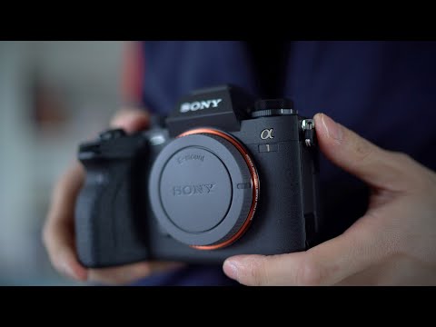 The $6,500 Sony Alpha 1 - Who's It Made For?