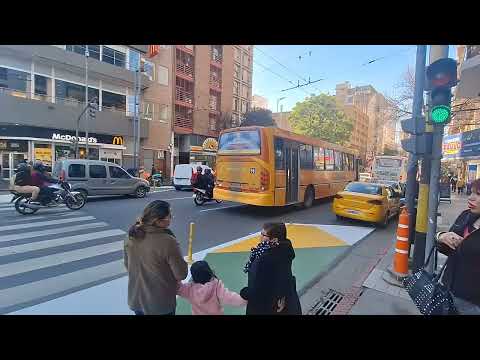 Mix de bondis #16 // av.colon y avellaneda // Cordoba Capital