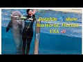Dolphin Adventures Show 2023 Sea World Orlando 2023