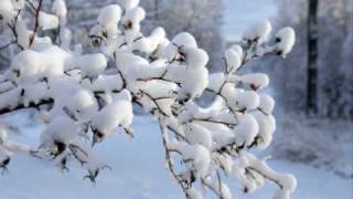 Rajaton - Jeesuksen seimellä