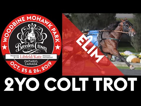 2019 Breeders Crown Elim - Synergy - 2YO Colt Trot